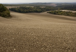 le sol et les pneus de tracteur