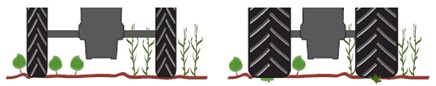 Monte en pneus étroits pour préserver les plants