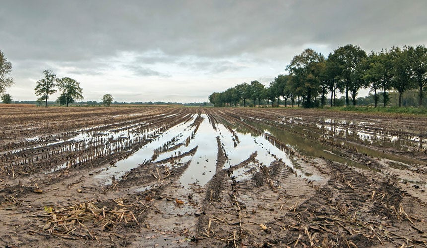 Sol gorgé d’eau très difficile à travailler